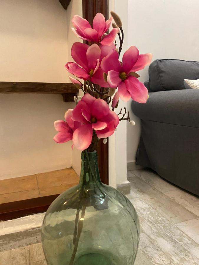 Apartamento La Pepa - Santa Cruz De La Palma Santa Cruz de la Palma  Buitenkant foto
